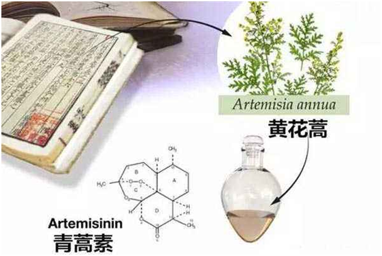 爱游戏平台·（中国）官方网站,登录入口：向中医药看齐，与世界共享中医药文化(图1)